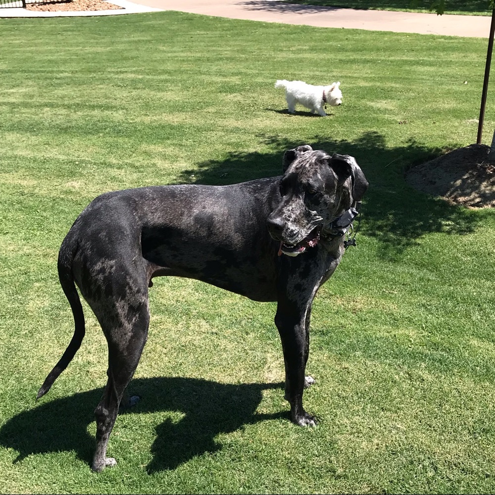 Meet your Posher, Jenna